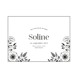 Coffret de naissance personnalisé, souvenirs de bébé