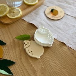 Biscuits originaux maison personnalisés anniversaire ou baptême citron