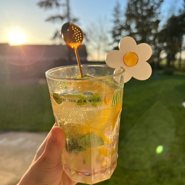 Rondelle de verre marguerite en plexiglas pour cocktail de printemps