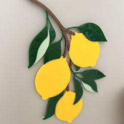 Décoration d'intérieur grappe de citrons en plexiglas