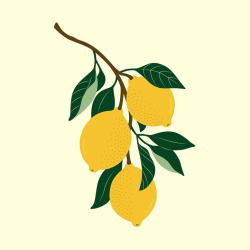 Collection citron pour la maison ou à personnaliser - Print Your Love